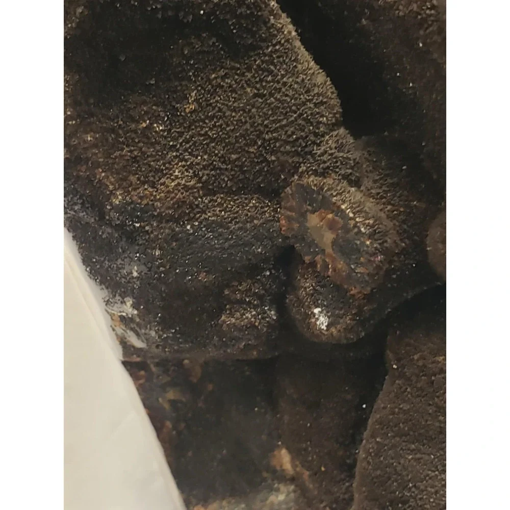 Natural Dragon Septarian Geode Freeform Quartz Cluster Crystal Healing - Picture 11 of 12